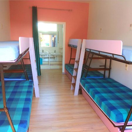 Gites Et Chambres La Colo Du Gave Auterrive Zewnętrze zdjęcie